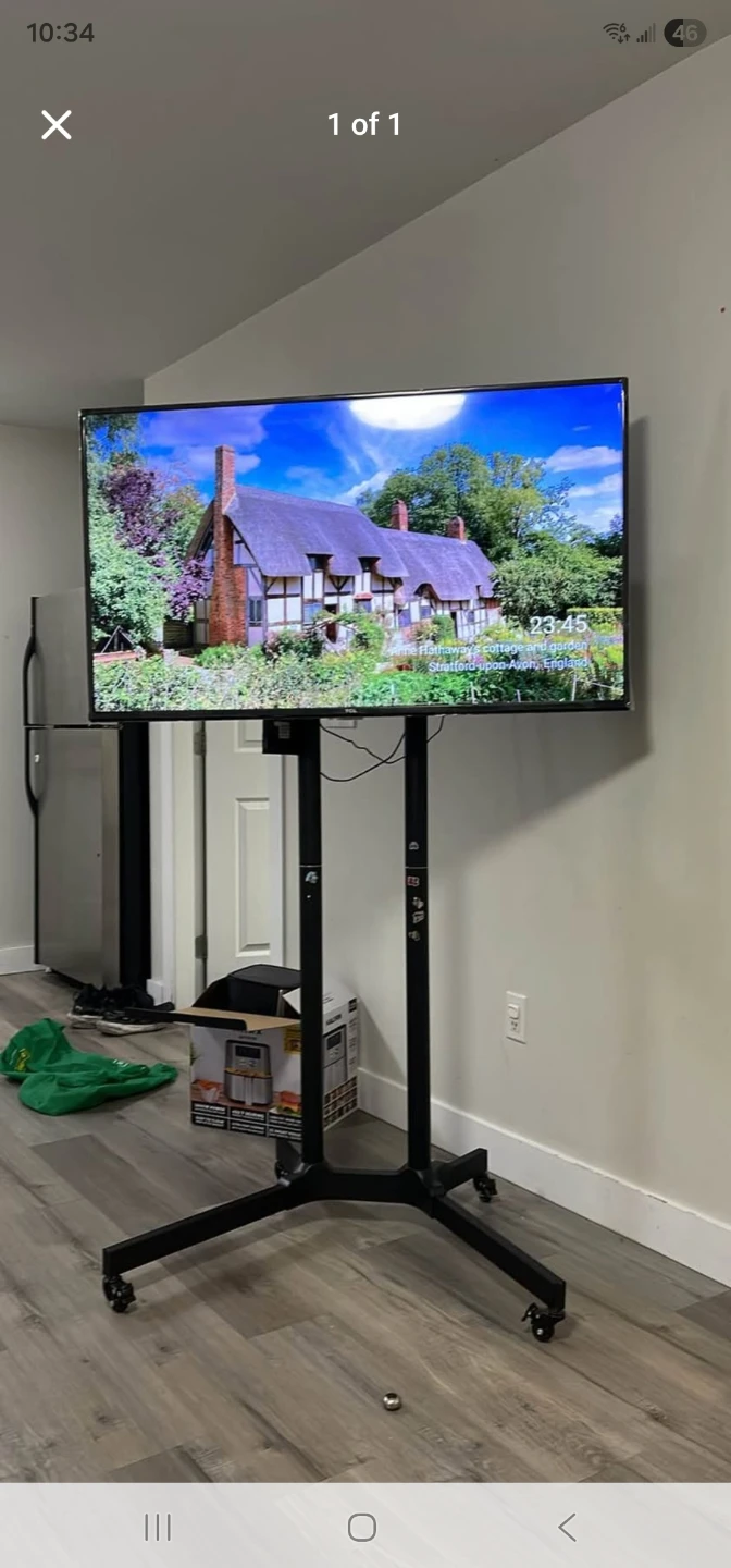Mobile TV Stand and TV as well