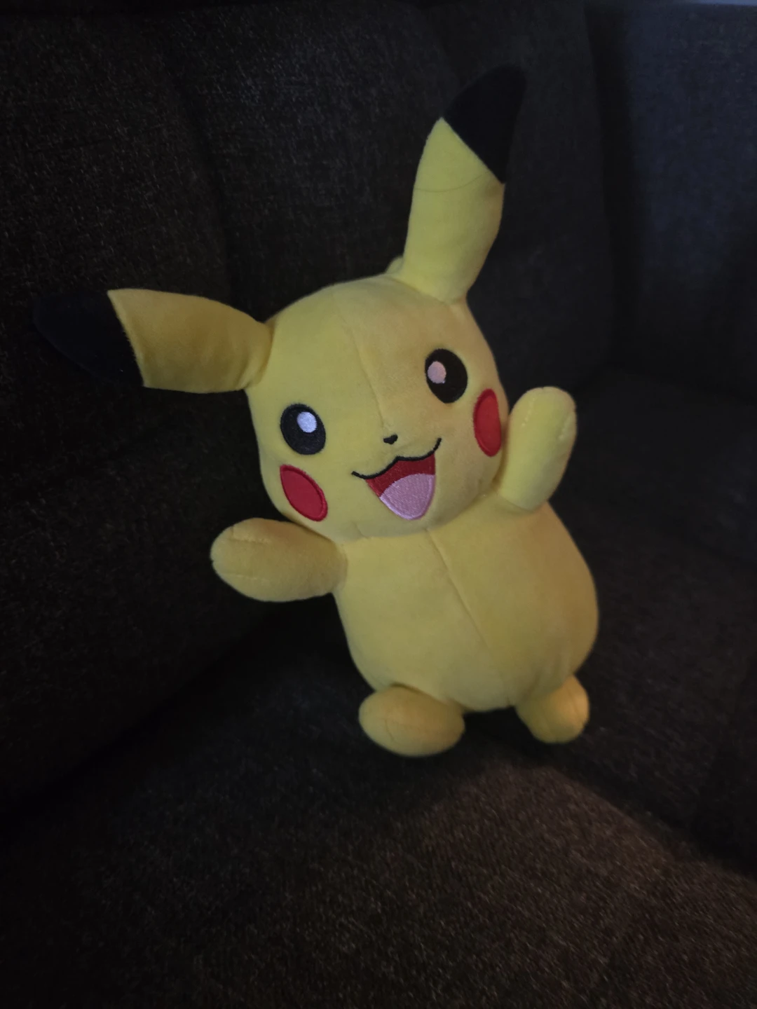 Pokémon Pikachu Plush Toy