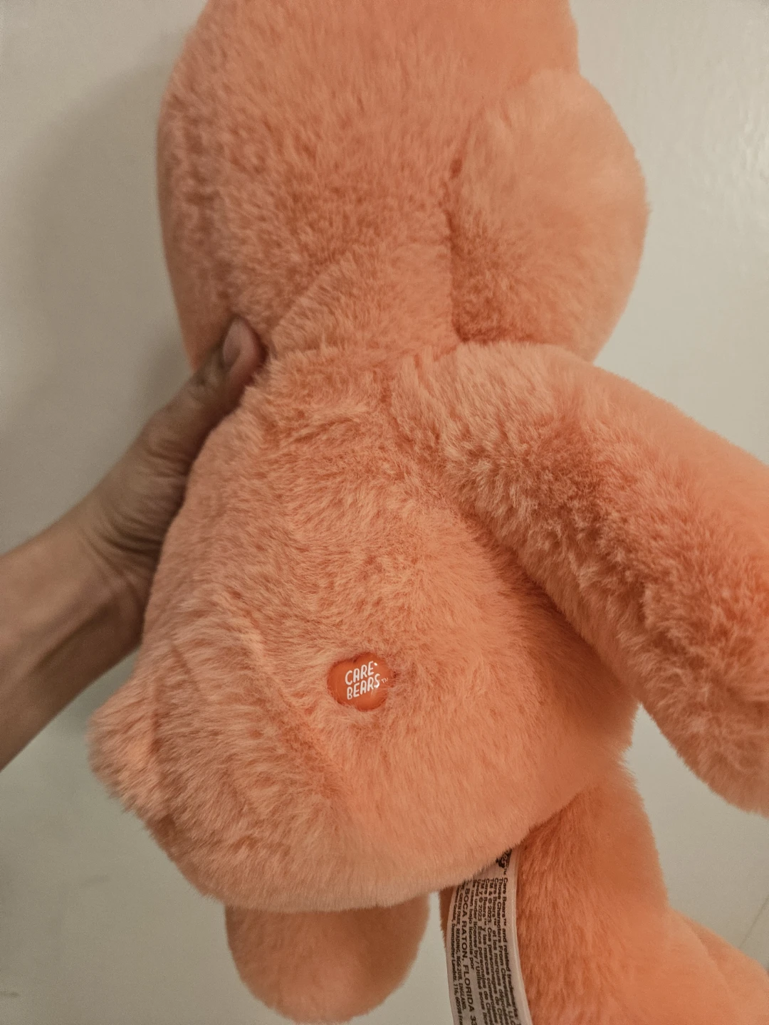 Care Bears Plush Toy - photo 2