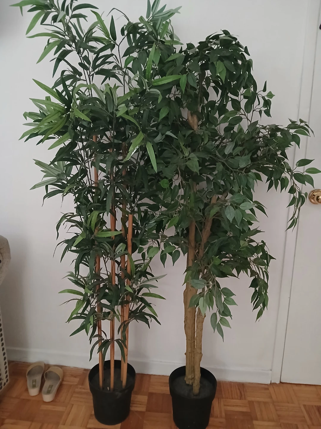Artificial Ficus and Bamboo Trees