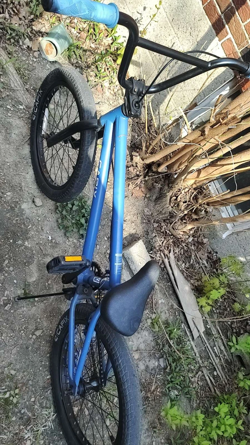 Masi "Sabotage" BMX Bike