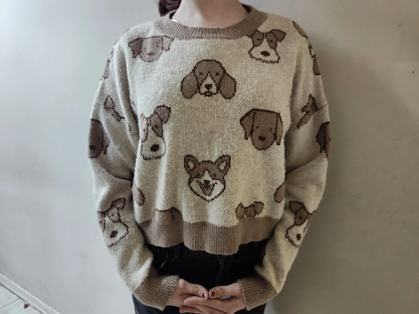 Dreamers by Detsel Dog Print Sweater