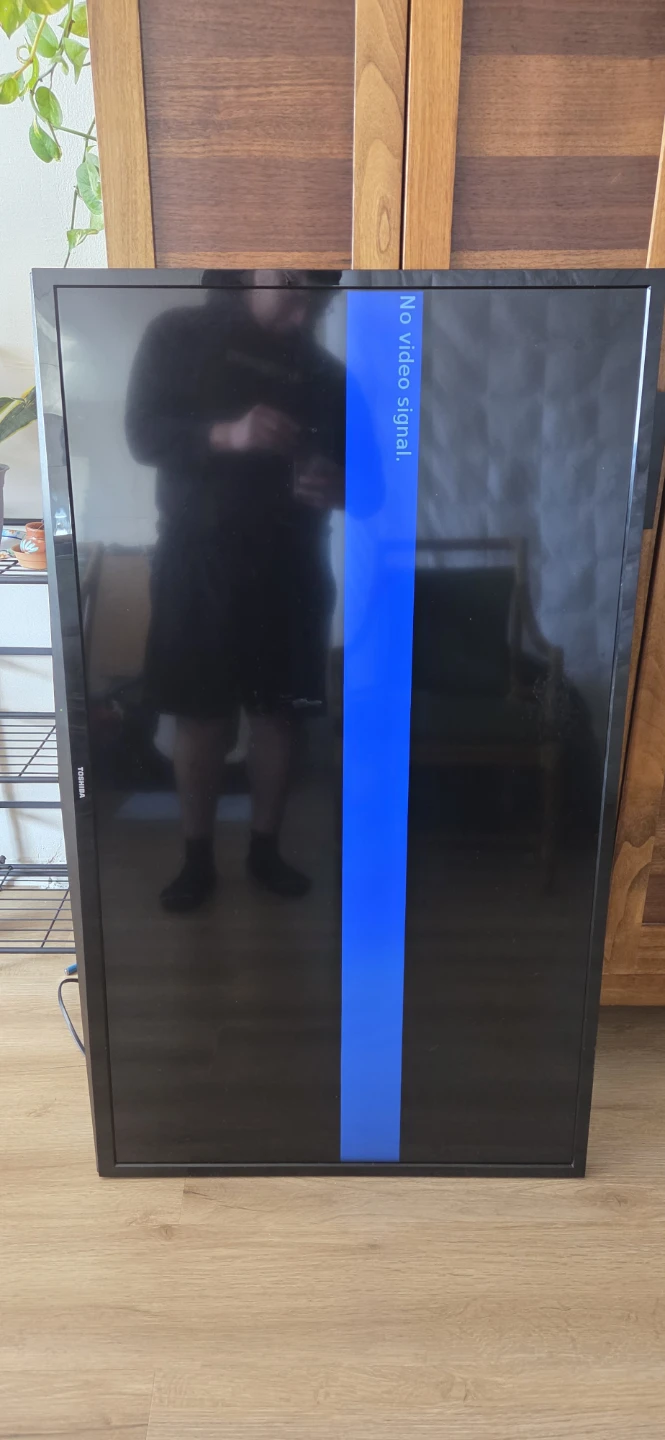 Toshiba 45" Flat Screen TV