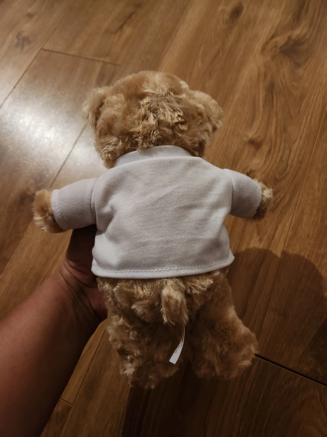 Bloomex "Canada's Official Florist" Teddy Bear Plush Toy - photo 2