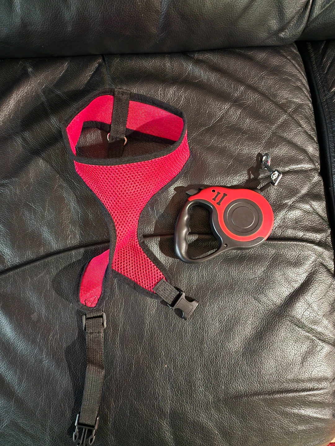 Red Dog Harness and Retractable Leash Set - photo 2