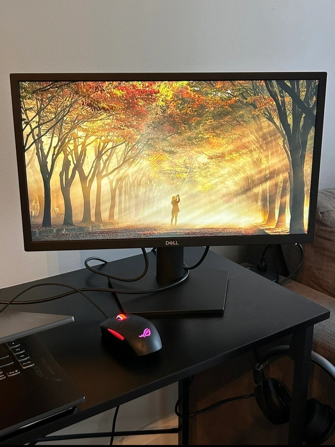 Dell Monitor