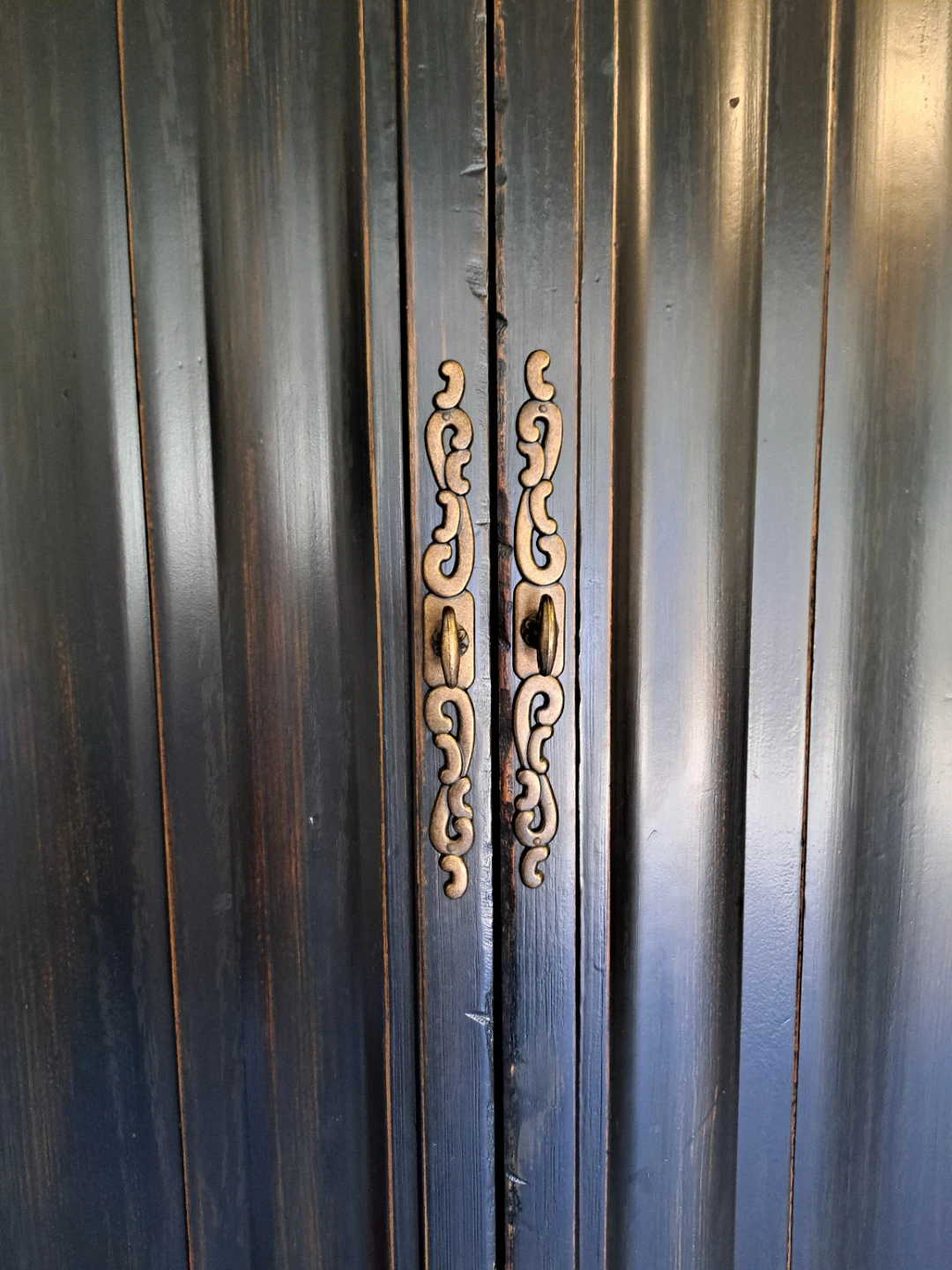 Tall Black Cabinet with Doors and Shelves - photo 2