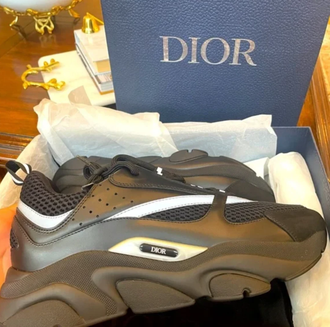 Dior b22