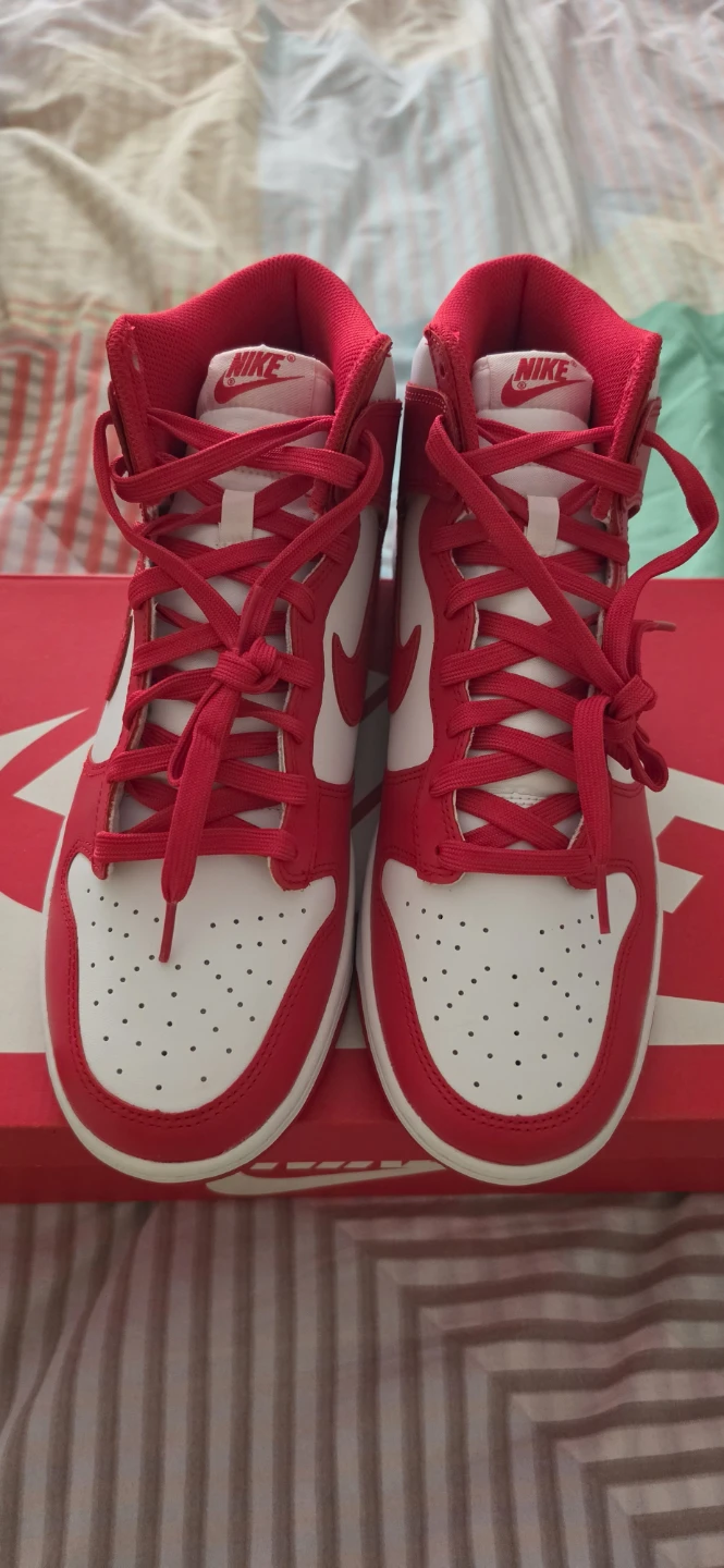 Nike Dunk High Top Sneakers Red/White