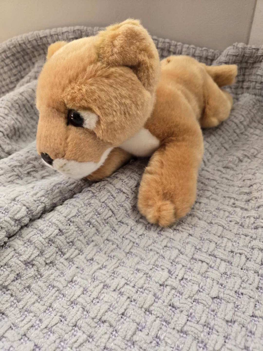 Miyoni by Aurora Plush Lion Cub Stuffed Animal