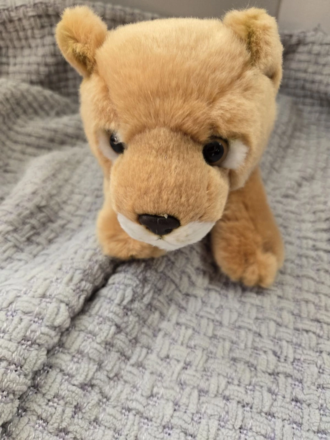 Miyoni by Aurora Plush Lion Cub Stuffed Animal - photo 3