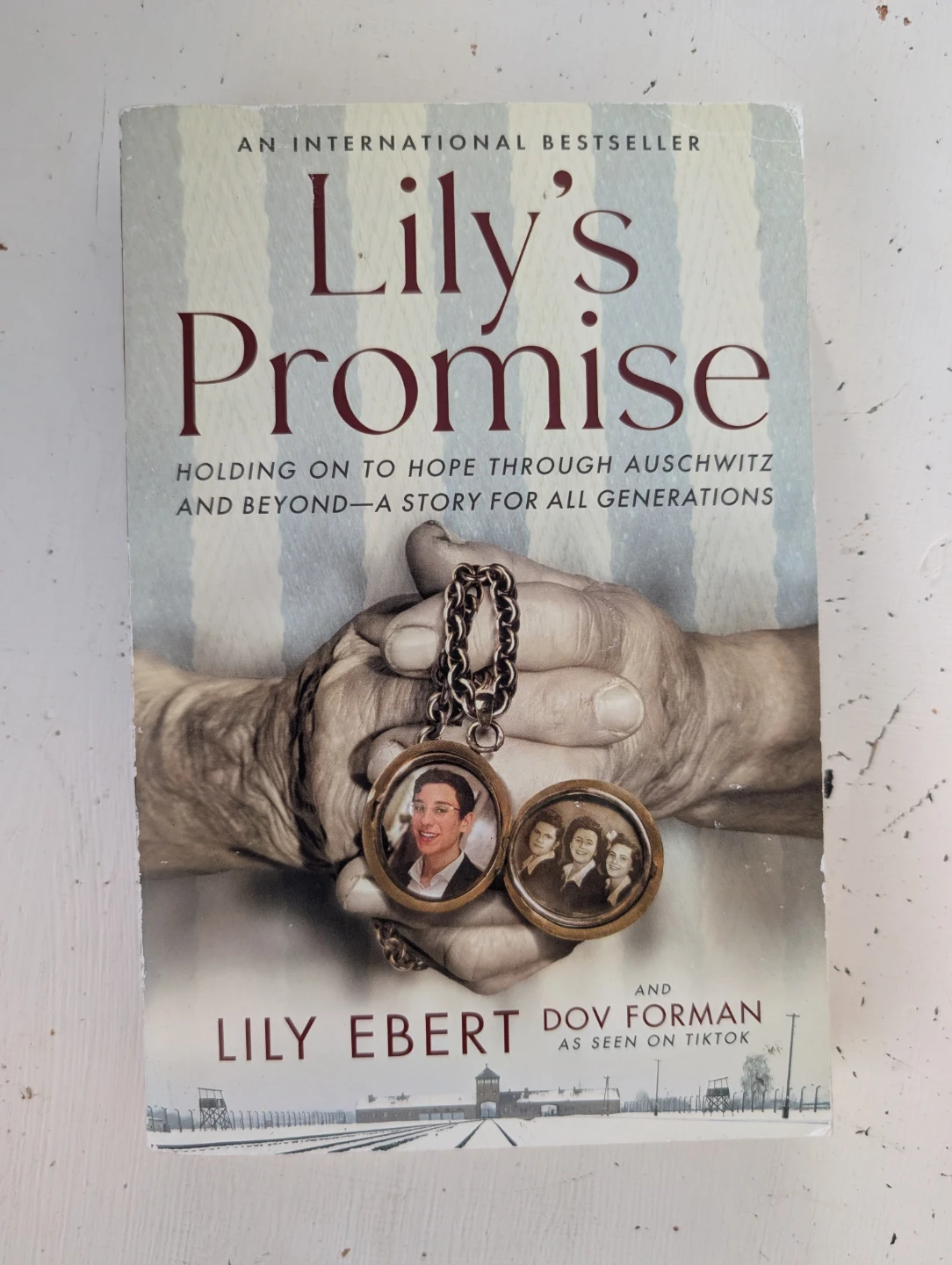 Lily's Promise by Lily Ebert and Dov Forman Book