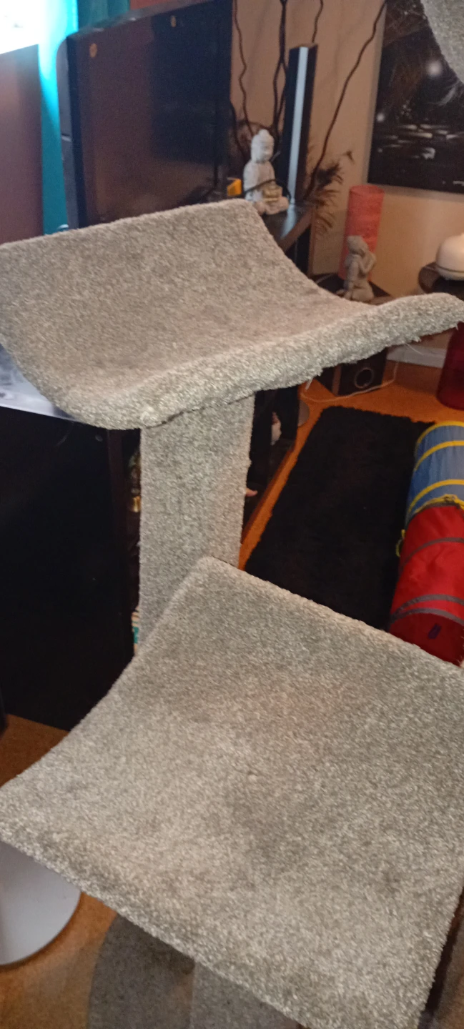 Cat Tree Condo - photo 3