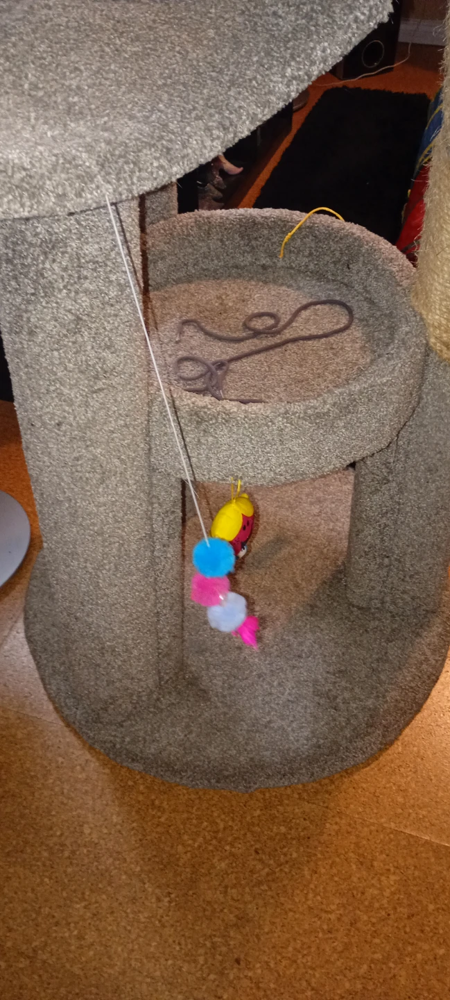 Cat Tree Condo - photo 5