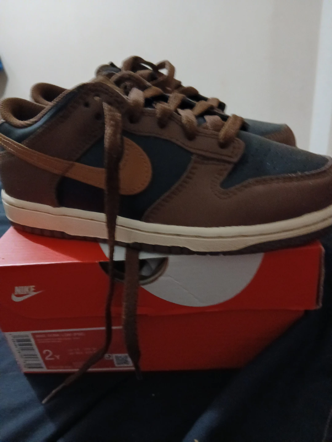 Nike Dunk Low Shoes Brown/black - Size 2Y