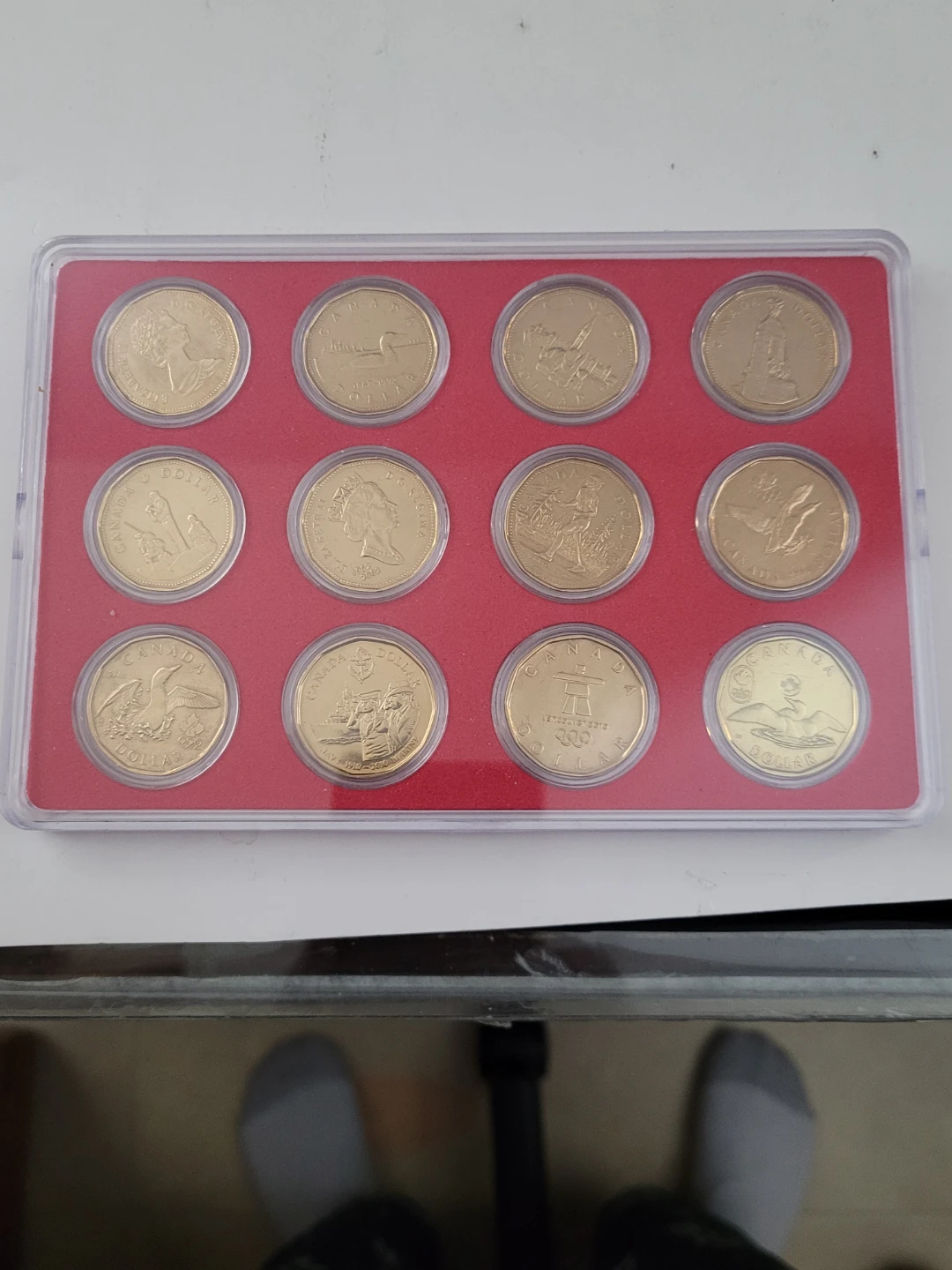 Collection of Canadian Dollar Coins