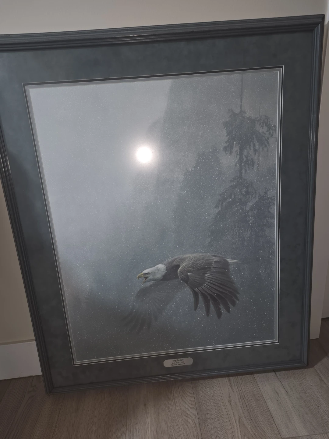 Vigilance by Robert Bateman Framed Print