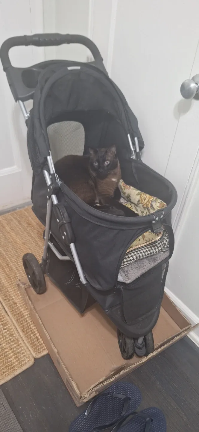 Black Pet Stroller - photo 2