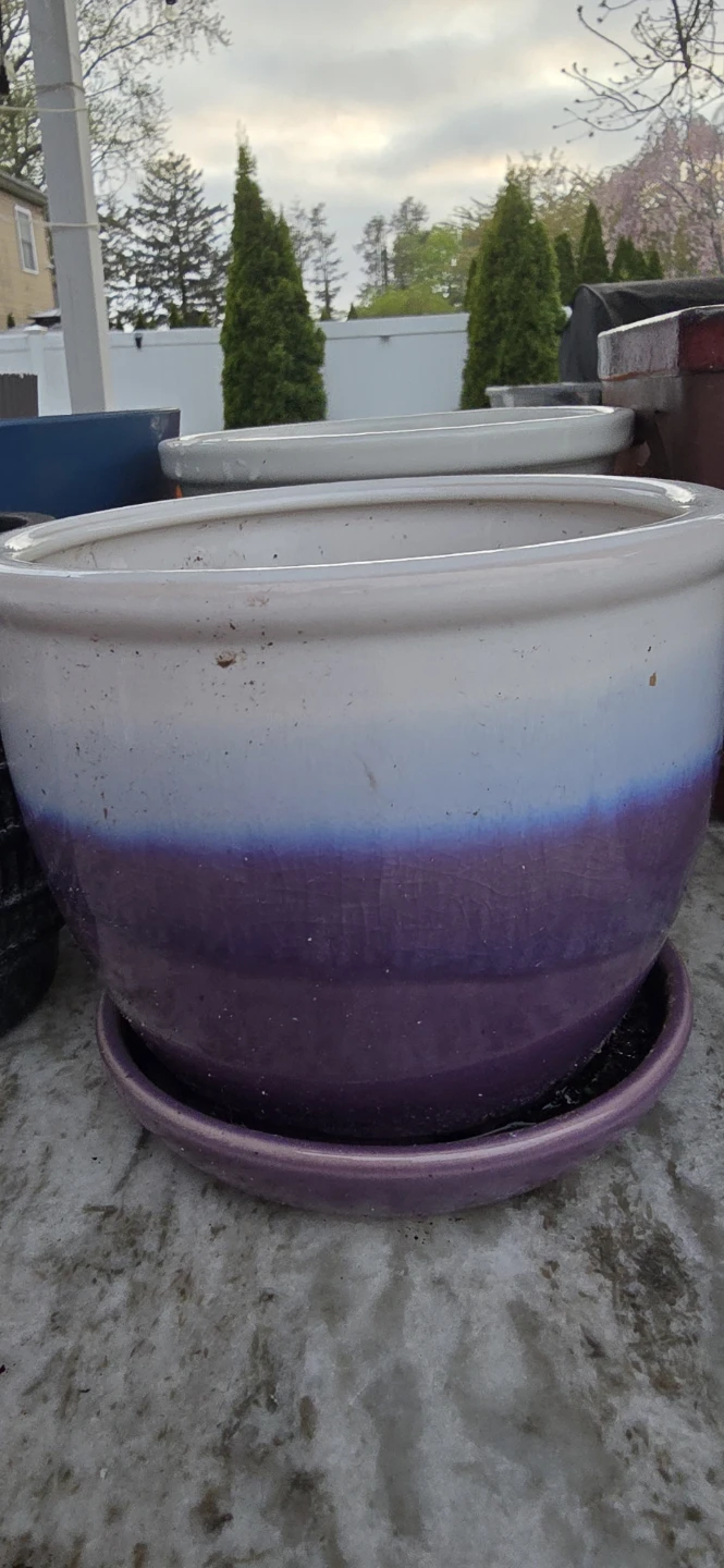 Assorted Ceramic & Terracotta Planters