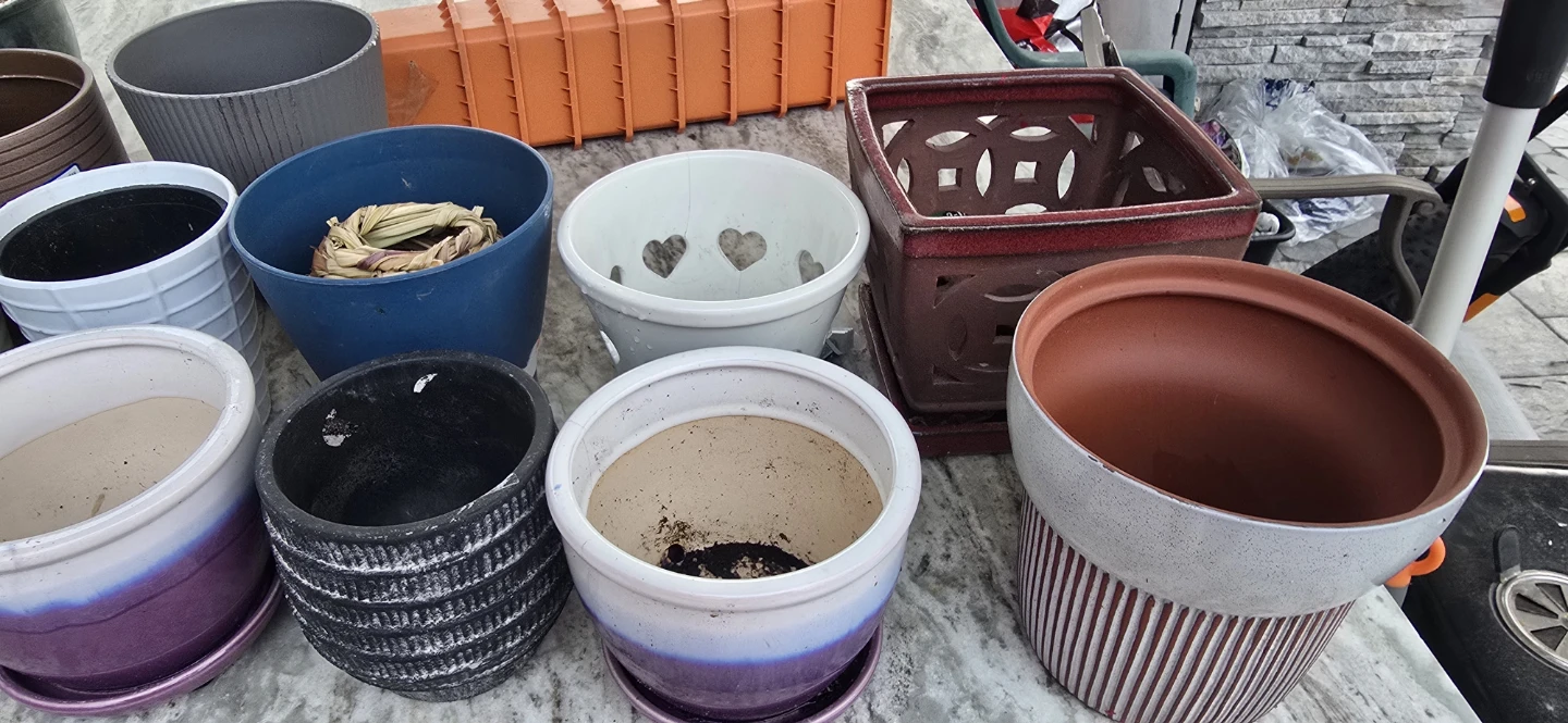 Assorted Ceramic & Terracotta Planters - photo 5