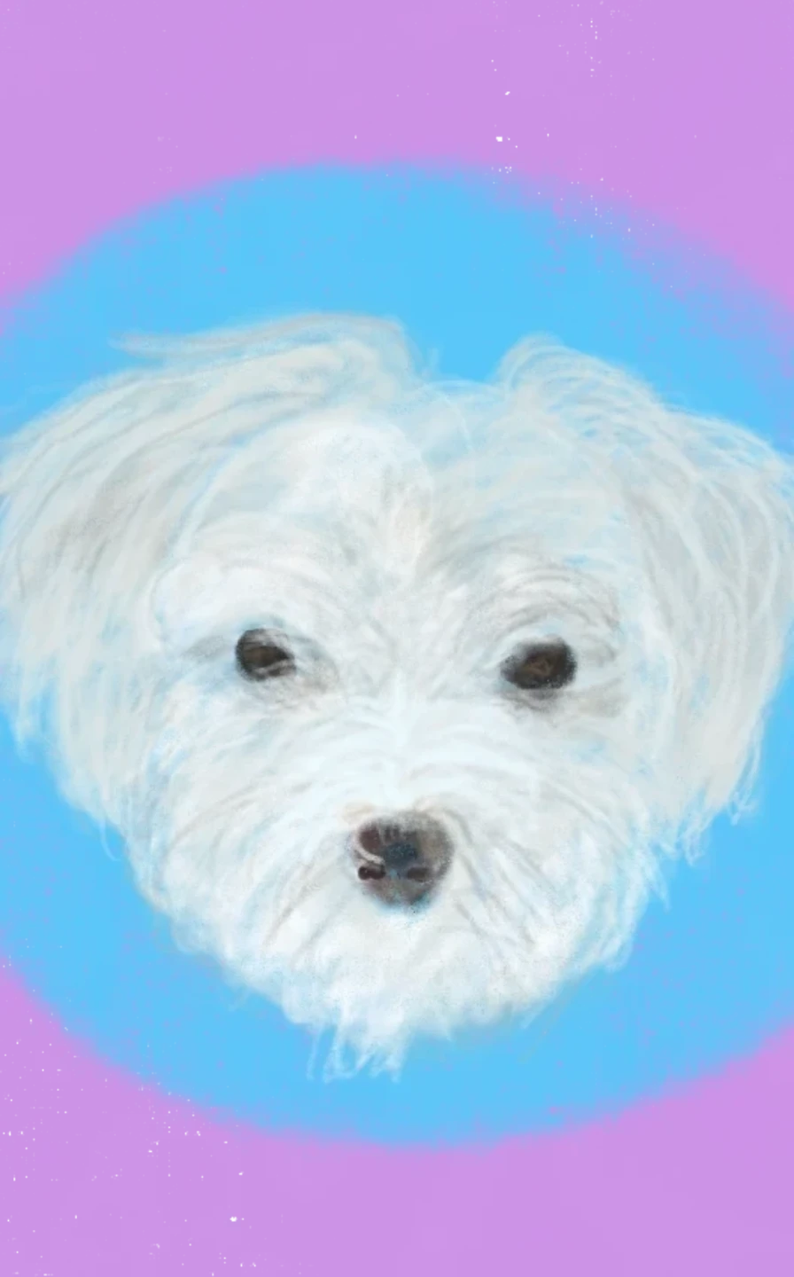 ​Pet drawing: Open to Trades! - photo 4