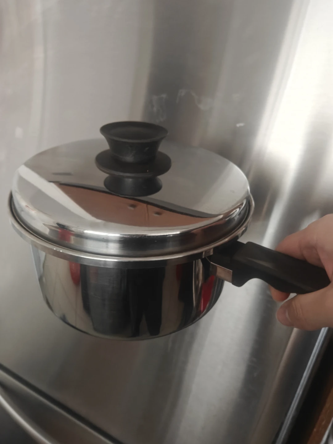 Stainless Steel Pot with Lid