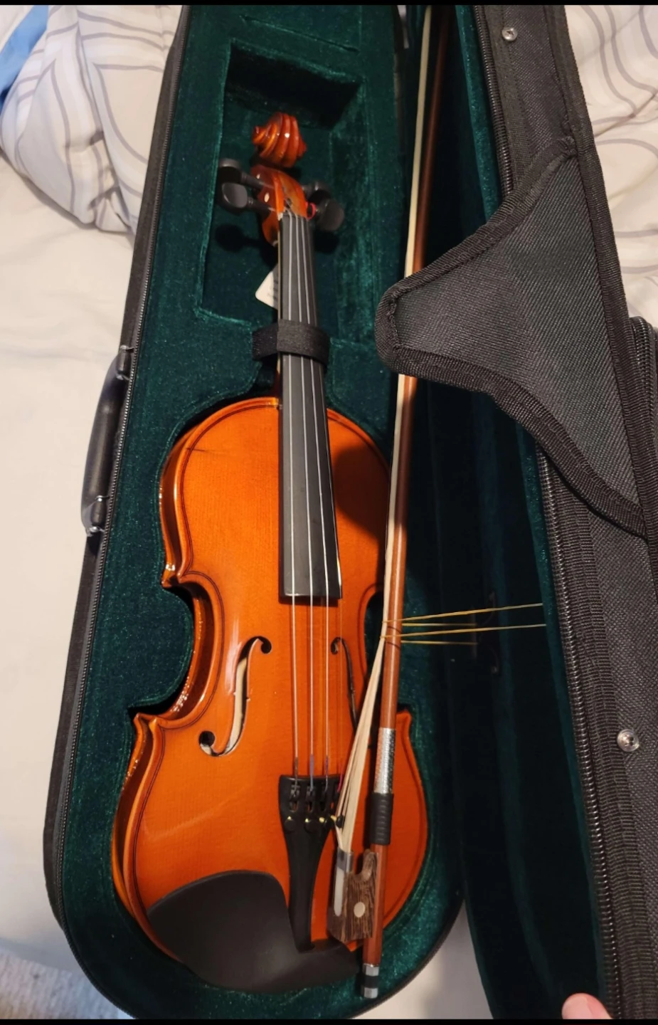 Triumph Acoustic Violin 1414P (4/4)