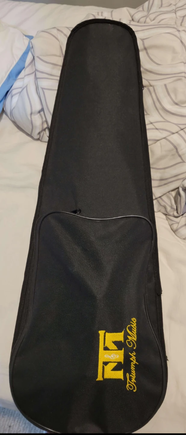 Triumph Acoustic Violin 1414P (4/4) - photo 2