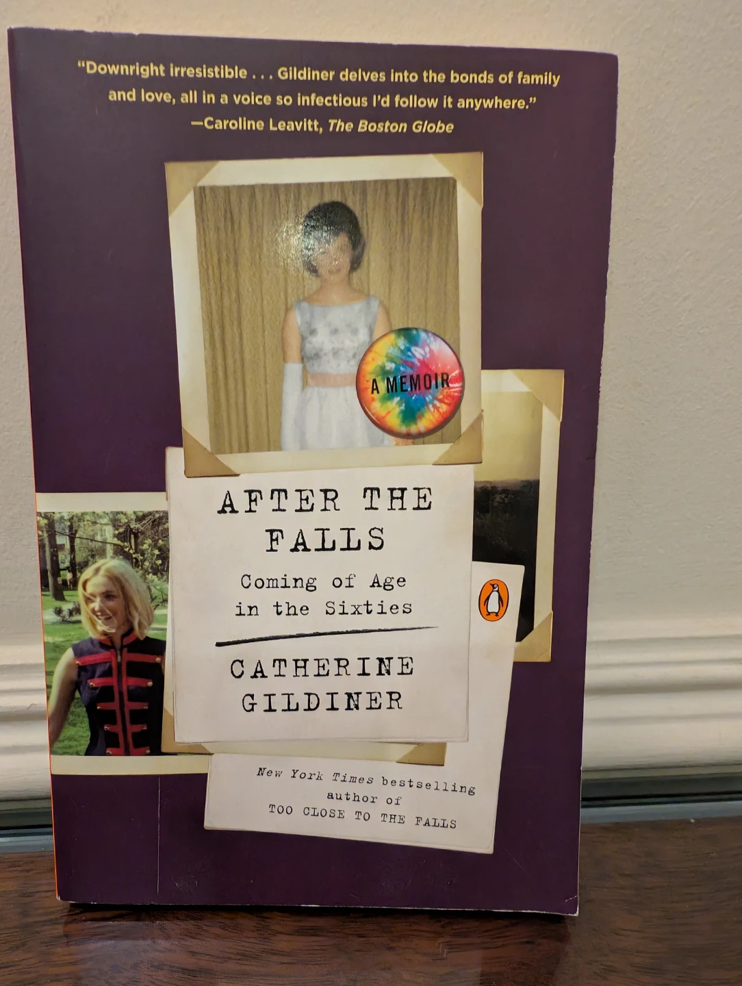 After the Falls: Coming of Age in the Sixties - photo 2