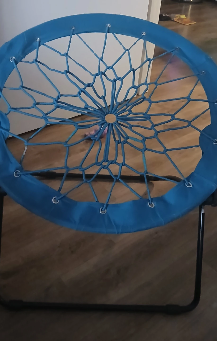 Blue Bungee Cord Saucer Chair