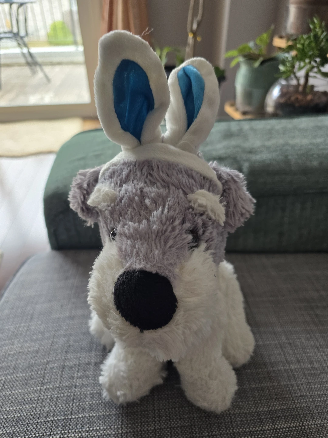 Collection of Stuffed Animals - photo 2