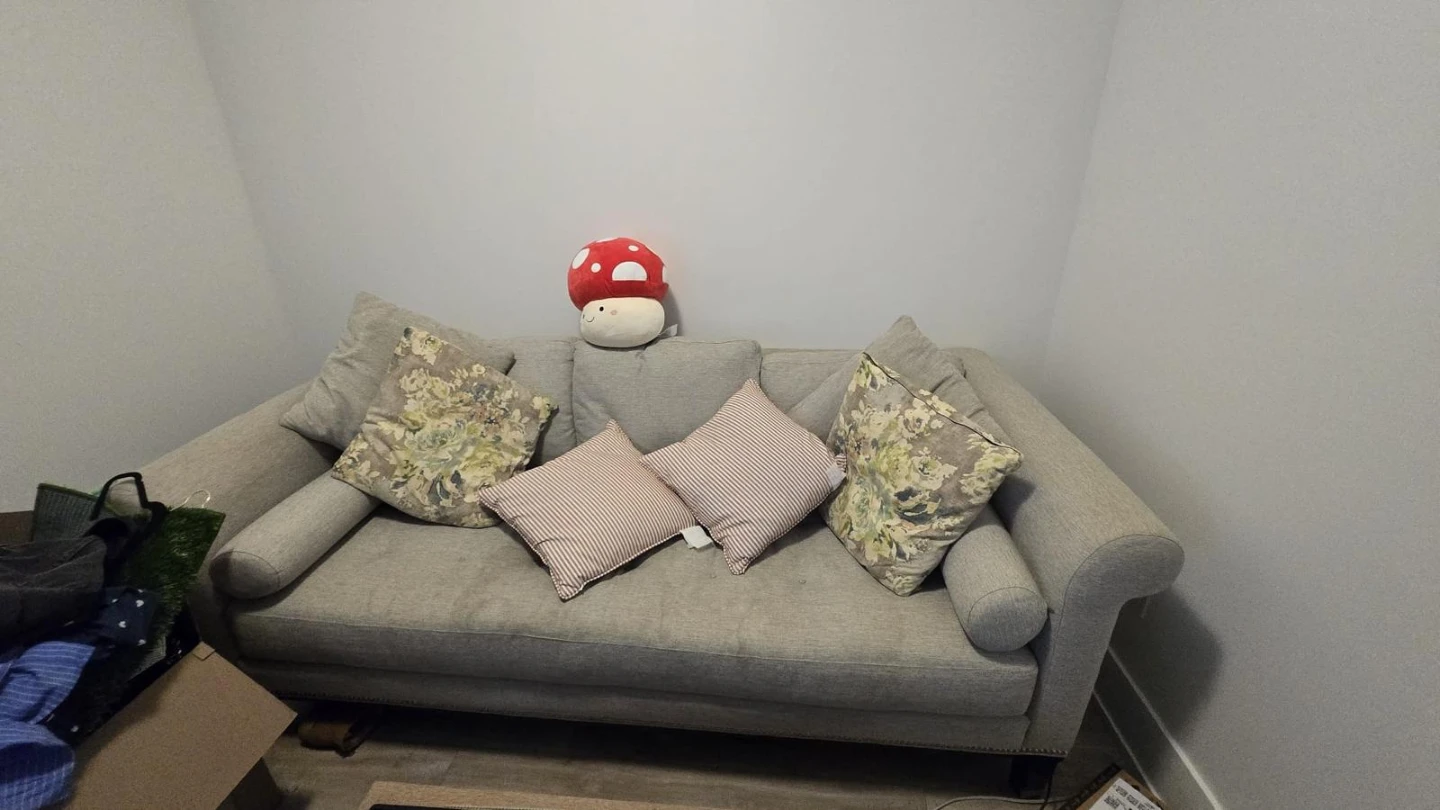Light Grey Sofa with Accent Pillows. Super comfy 😌