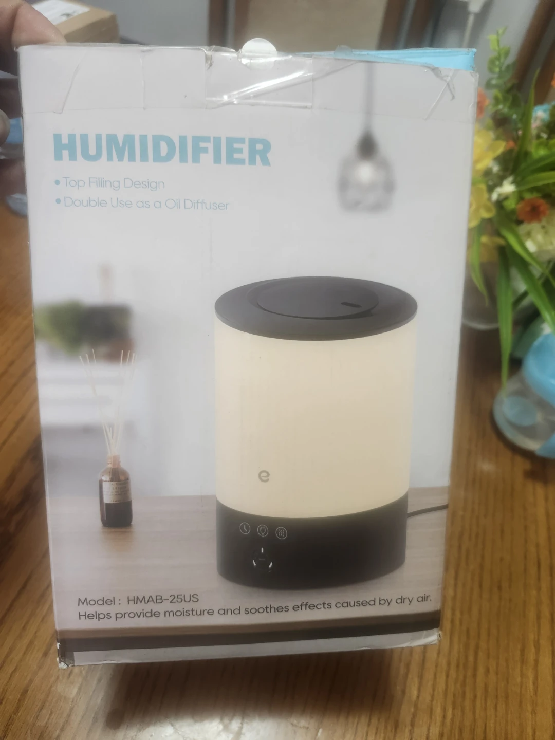 Humidifier with Oil Diffuser - Model HMAB-25US
