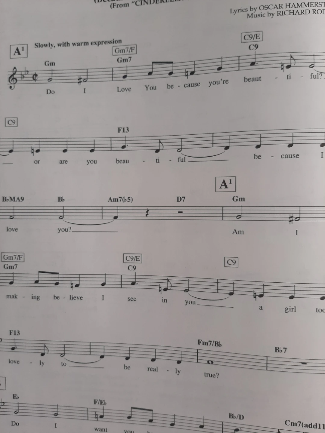 The Professional Pianist's Fake Book Sheet Music Hal Leonard - photo 5