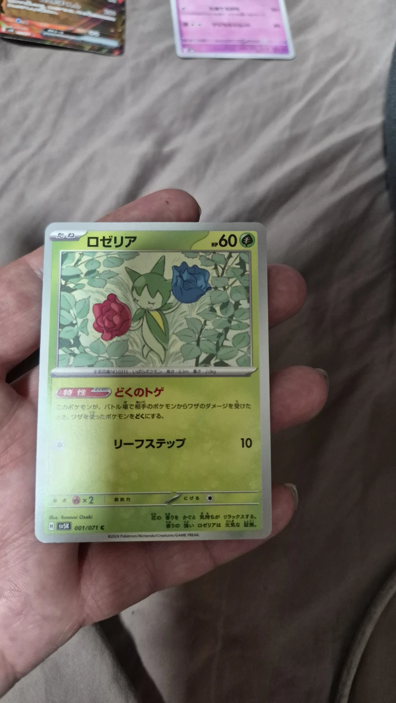 Pokemon Japanese Cards - photo 3