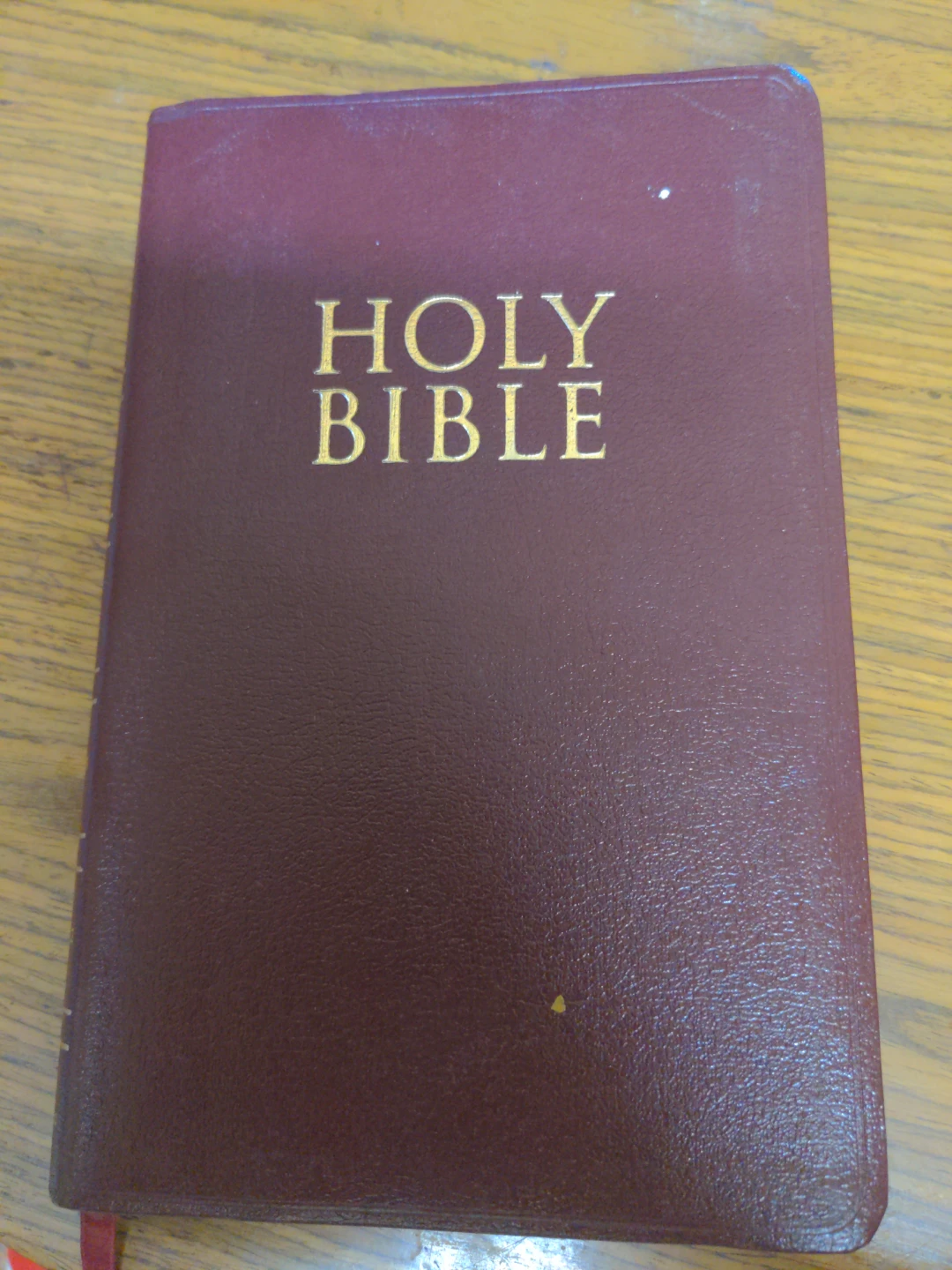 Holy Bible Bonded Leather