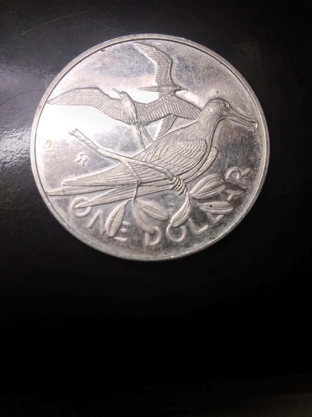 Magnificant frigate birds  925 dollar coin
