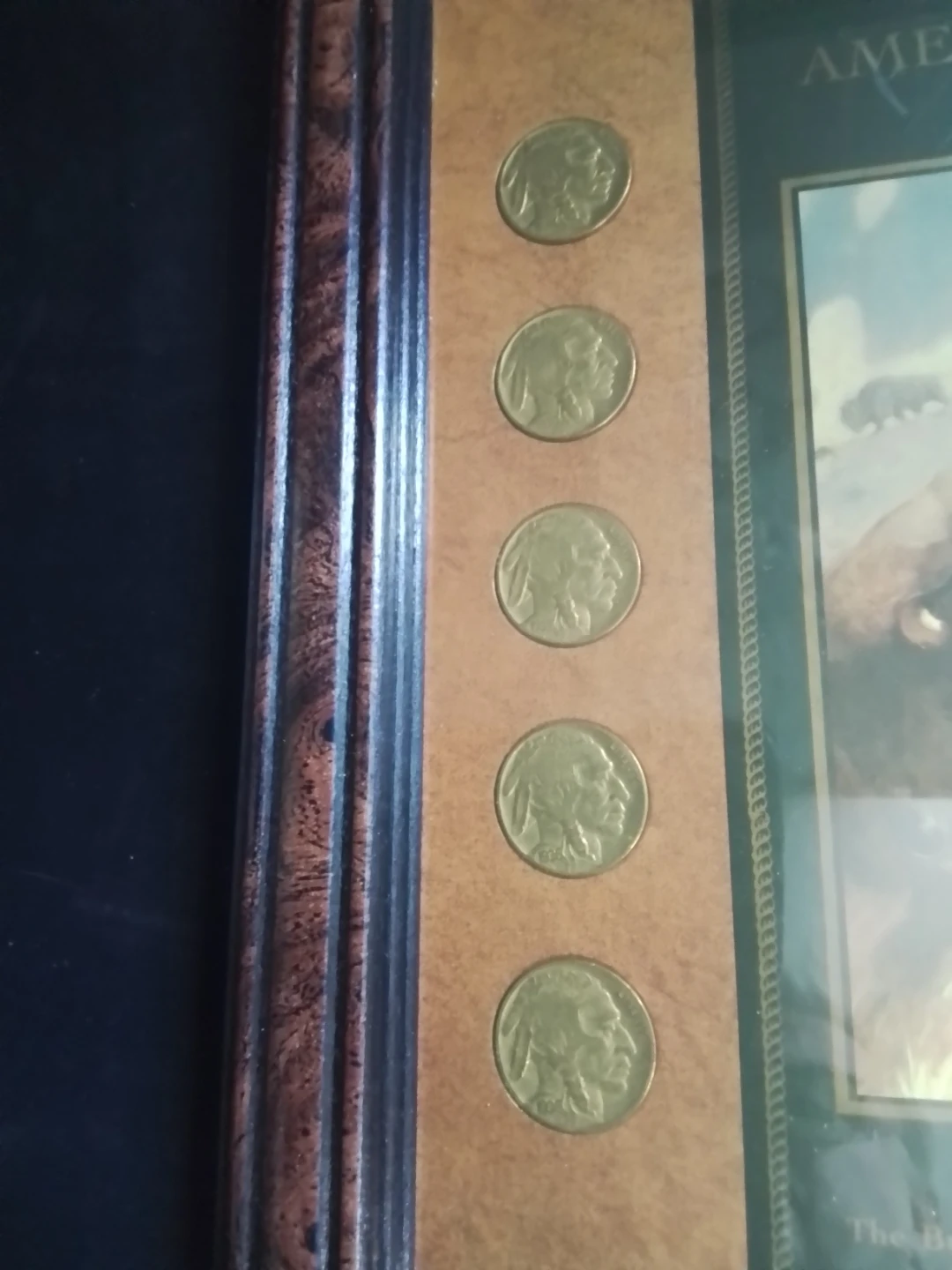 Framed "Spirit of the American West" Buffalo Nickel Display - photo 4