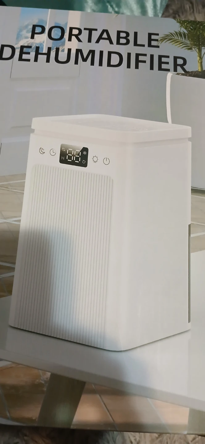 Portable Dehumidifier