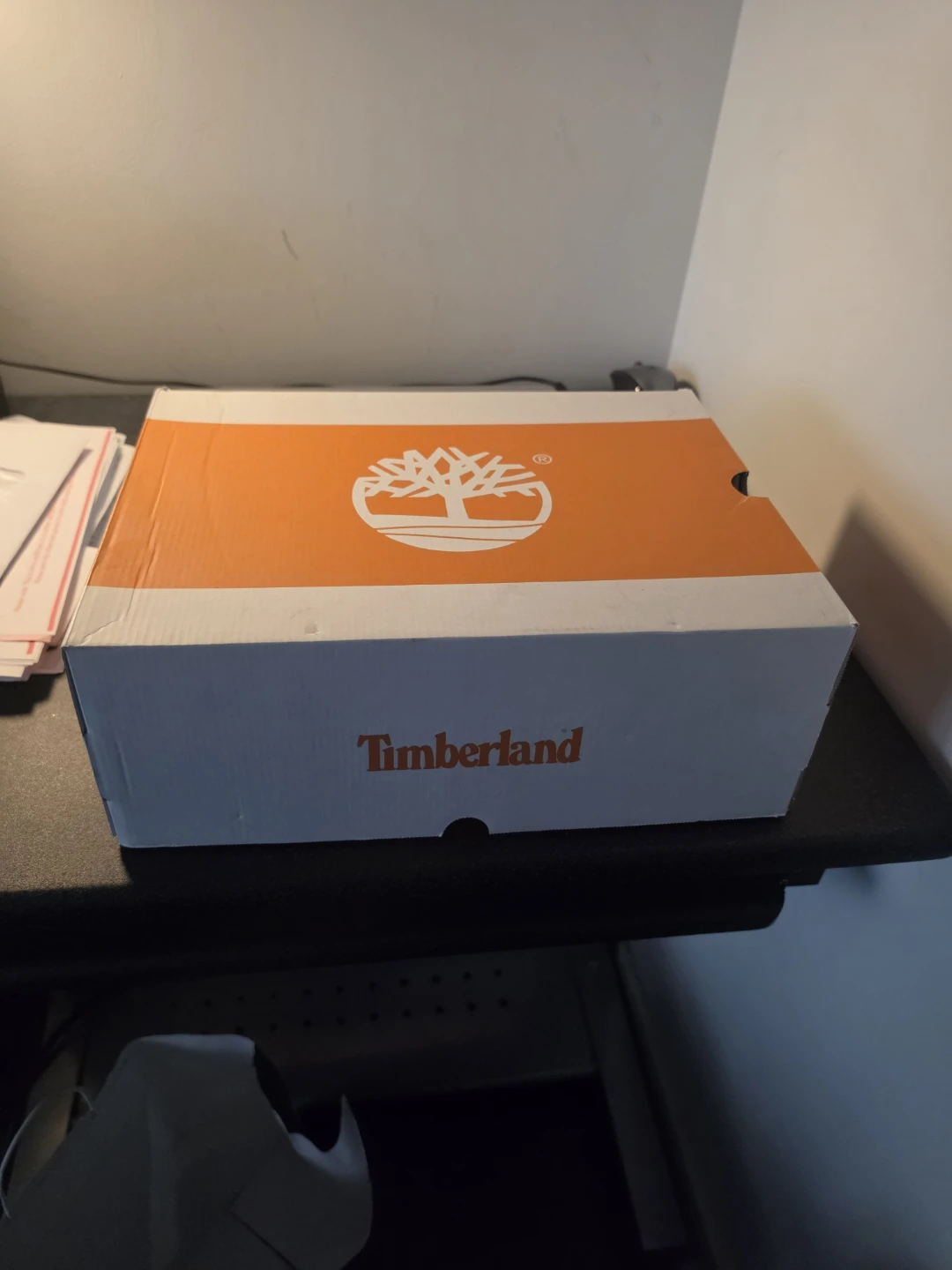 Timberland Hiking Boots - US 11 / CA 11