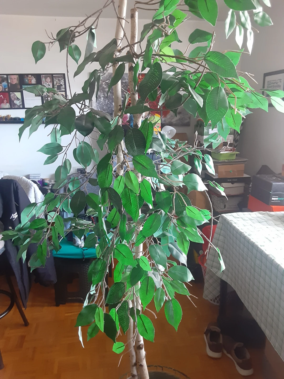 Artificial Ficus Tree - photo 5