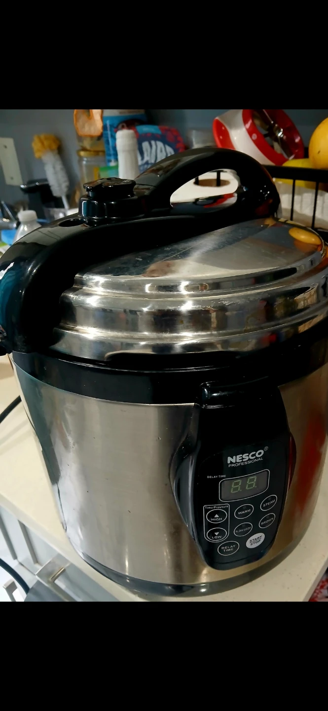 Professional Electric Pressure Cooker 🌱