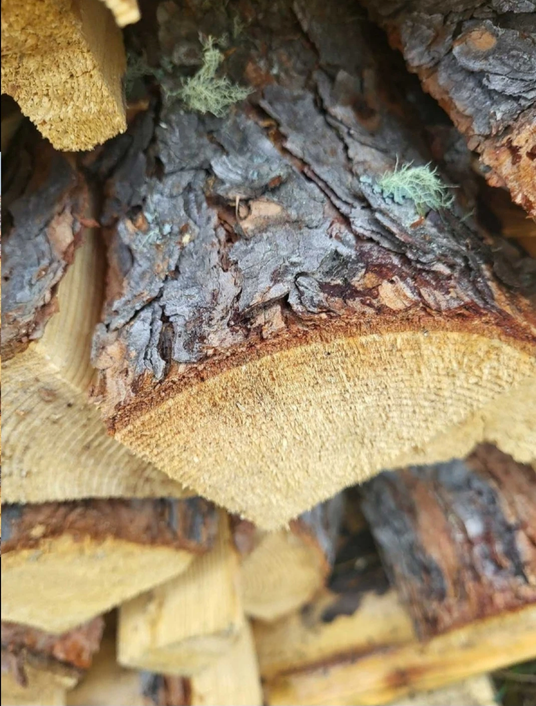 Tamarack firewood - photo 4