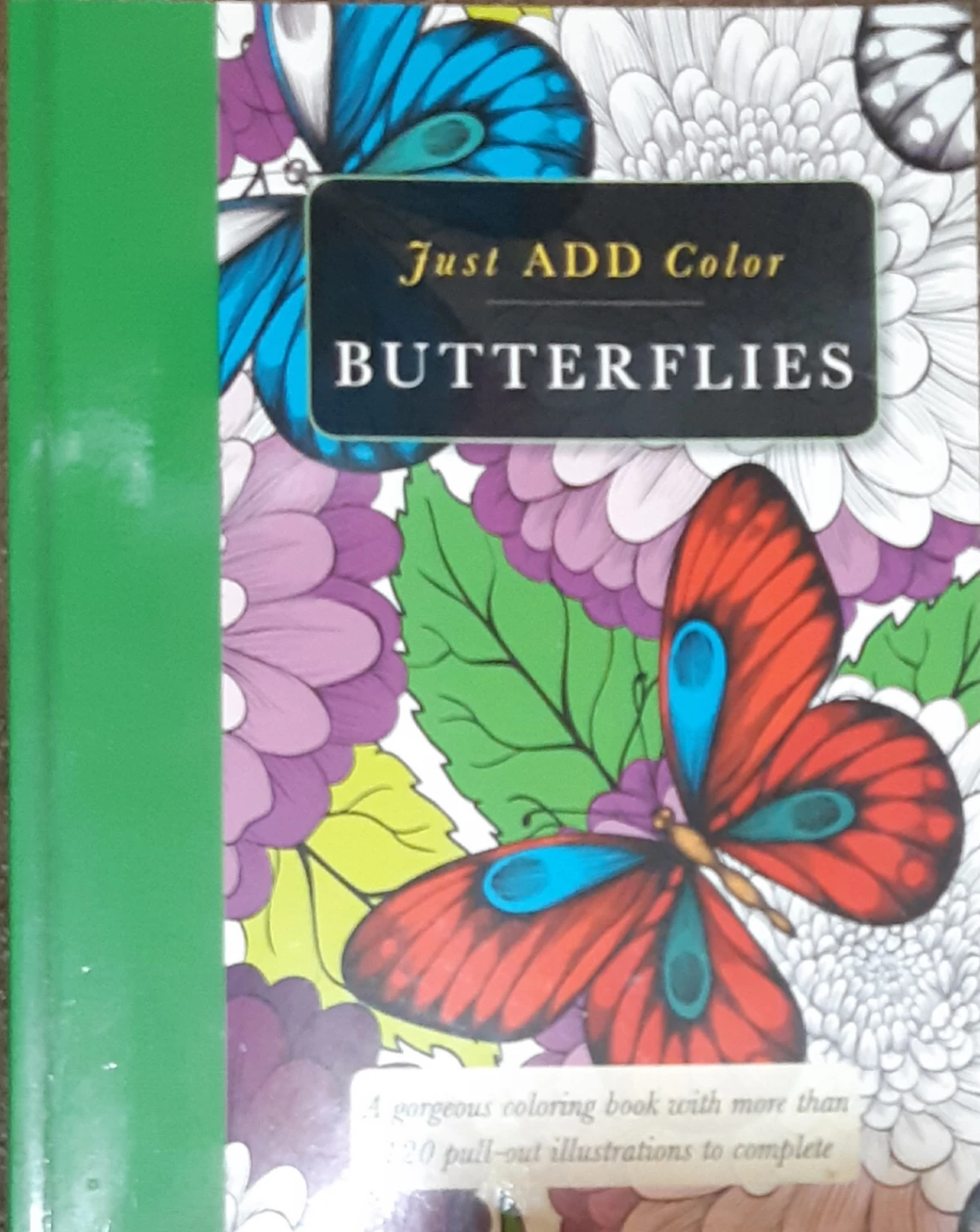 Barron's Just Add Color Butterflies Coloring Book
