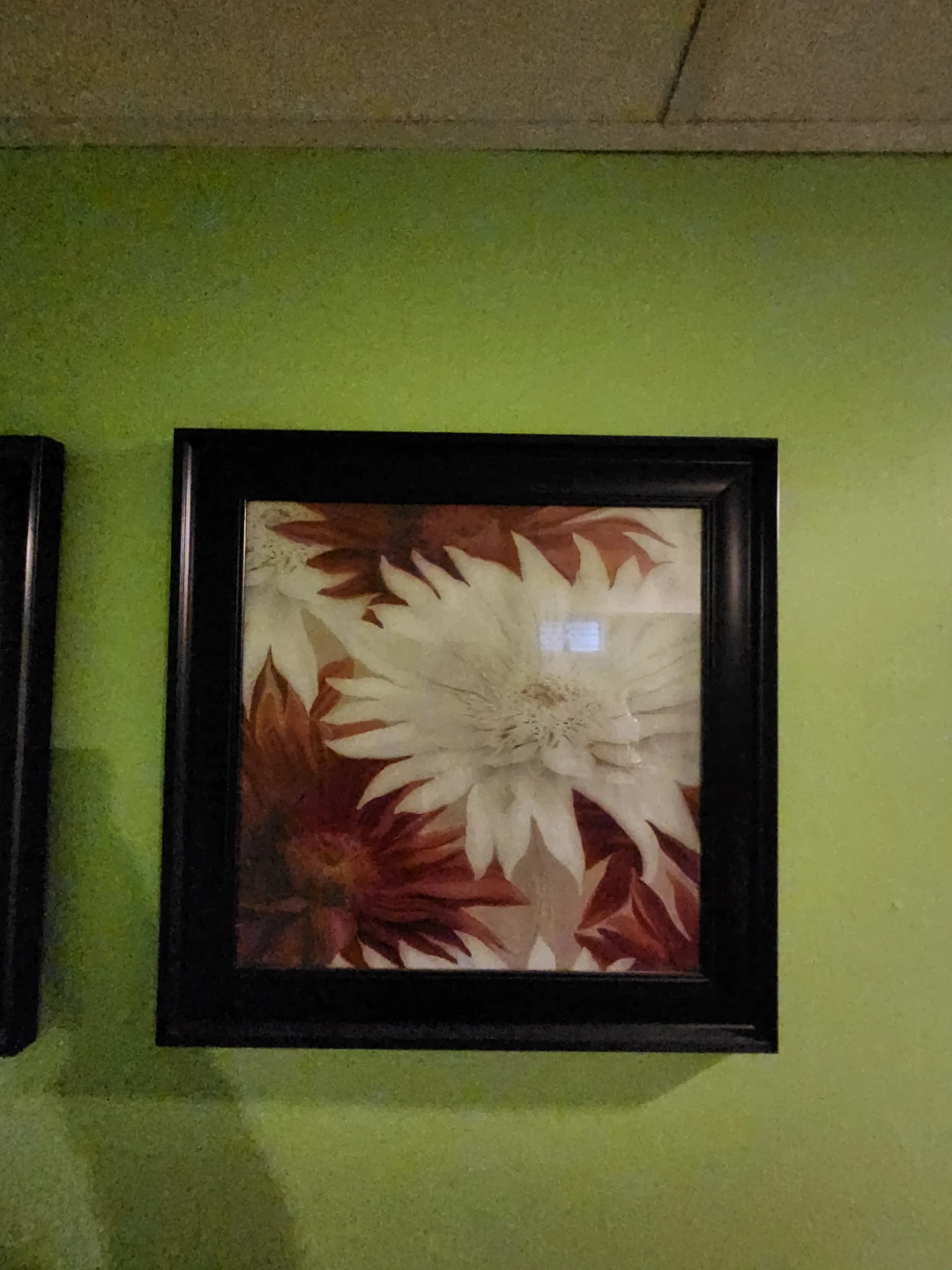 Set of 2 Modern Floral Framed Art - White & Orange Dahlias