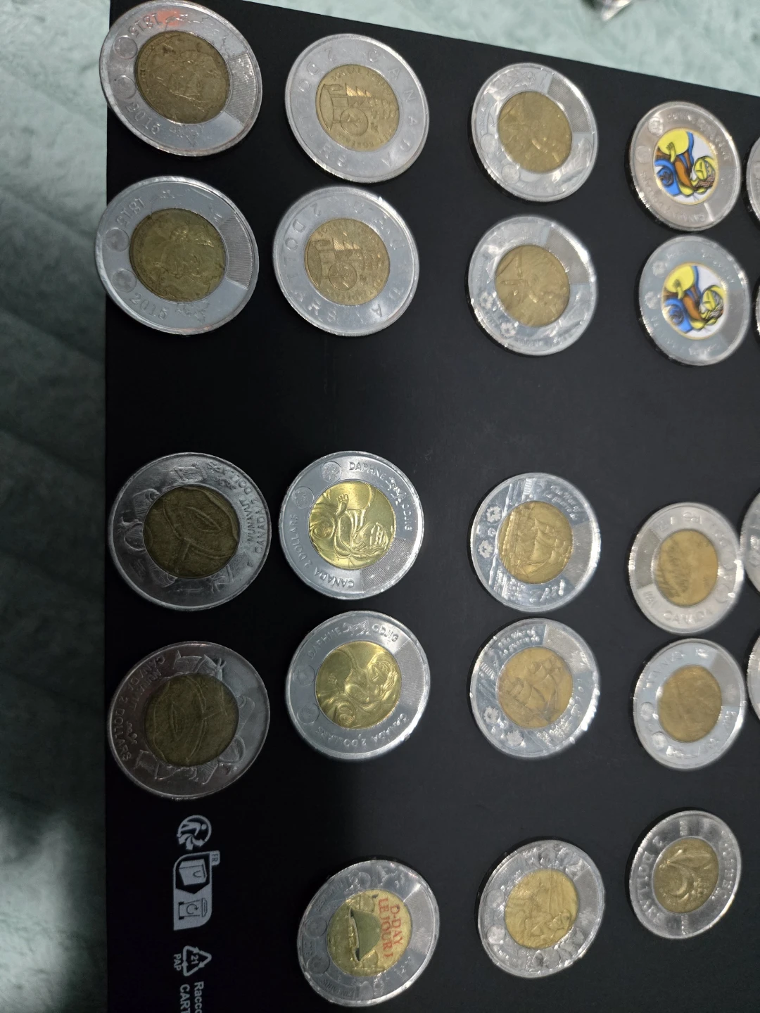 Collection of Loonies - photo 2