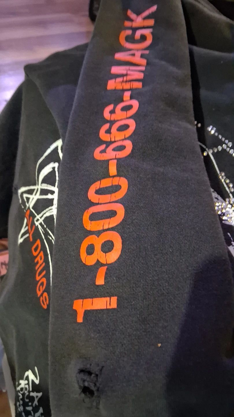 Paly Hollywood Crewneck Sweatshirt - photo 4