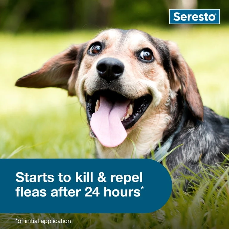 Seresto Small Dog Flea & Tick Collar - 8 Month Protection - photo 4