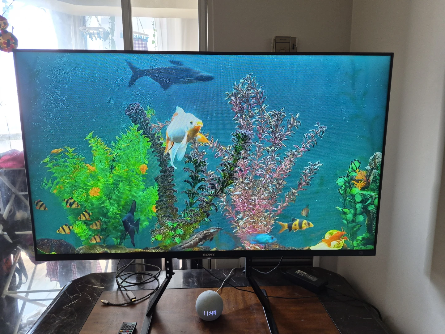 Sony 50 inc television - photo 2