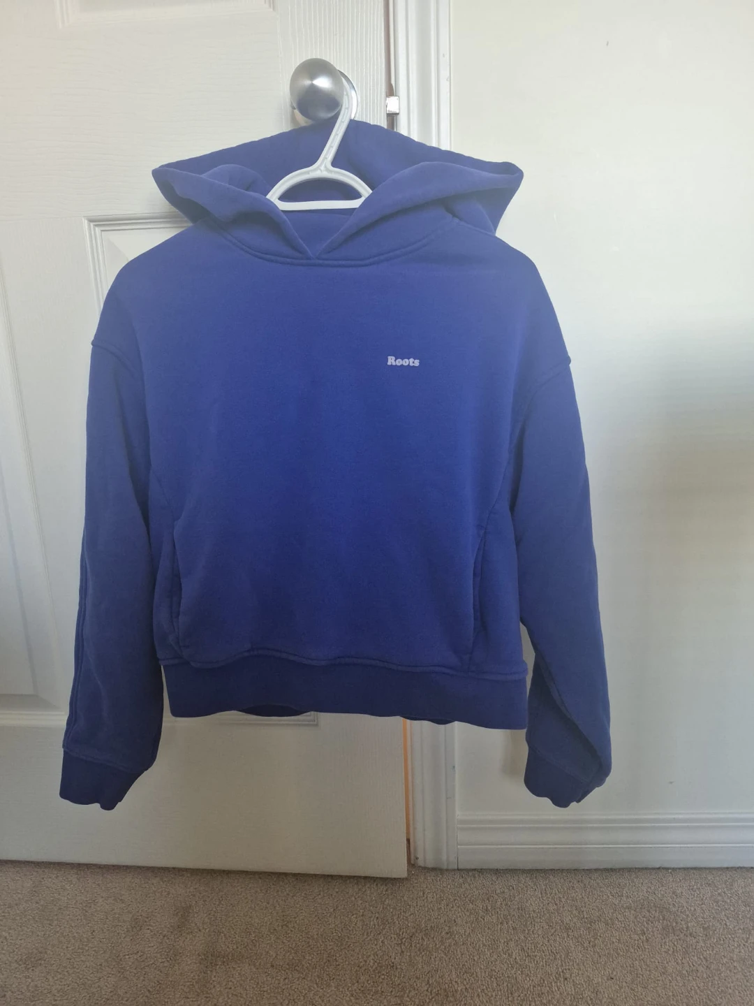 Blue Roots Hoodie - photo 2